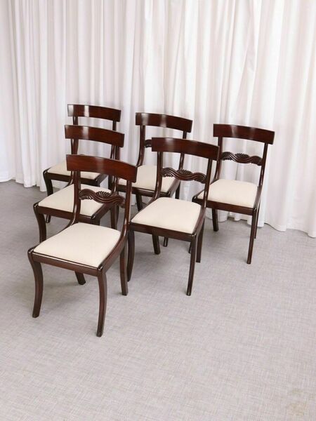 Antique English Regency / William IV 6 Six Cuban Mahogany Dining Chairs 1830