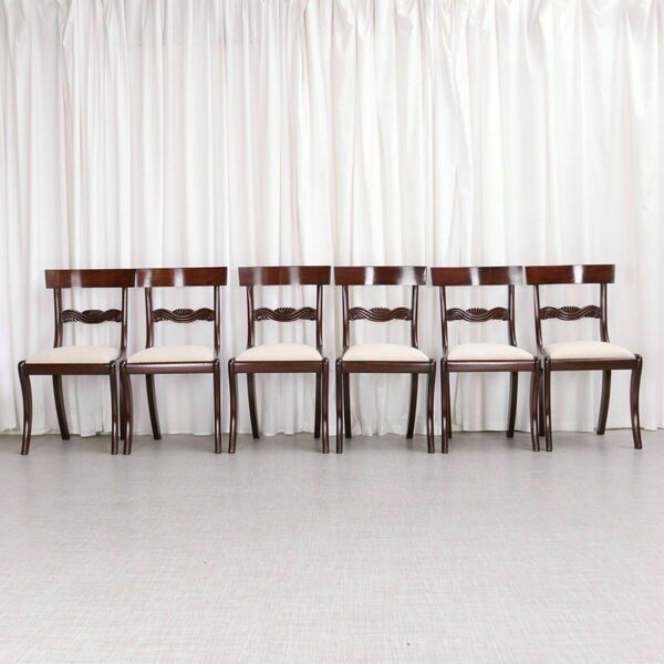 Antique English Regency / William IV 6 Six Cuban Mahogany Dining Chairs 1830