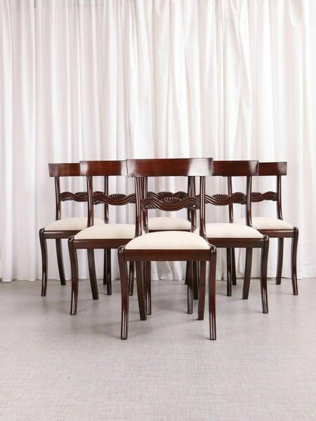 Antique English Regency / William IV 6 Six Cuban Mahogany Dining Chairs 1830