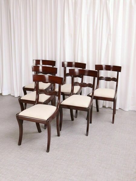 Antique English Regency / William IV 6 Six Cuban Mahogany Dining Chairs 1830